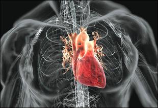 Malattie cardiovascolari